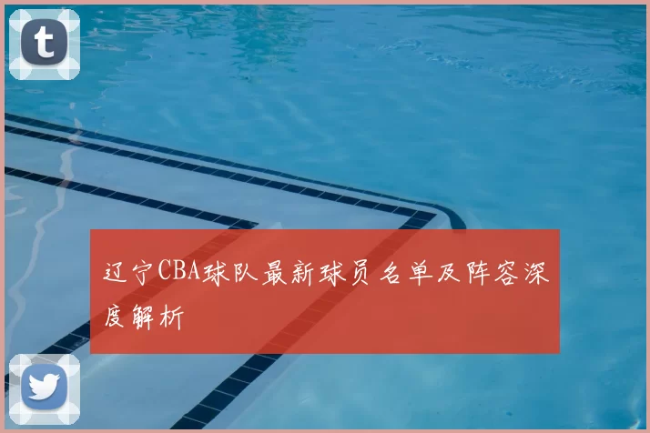 辽宁CBA球队最新球员名单及阵容深度解析