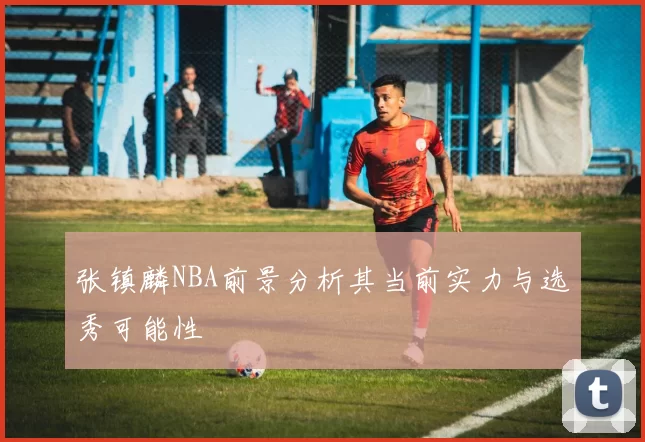 张镇麟NBA前景分析其当前实力与选秀可能性