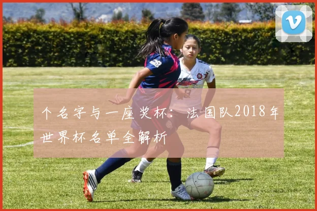 个名字与一座奖杯：法国队2018年世界杯名单全解析