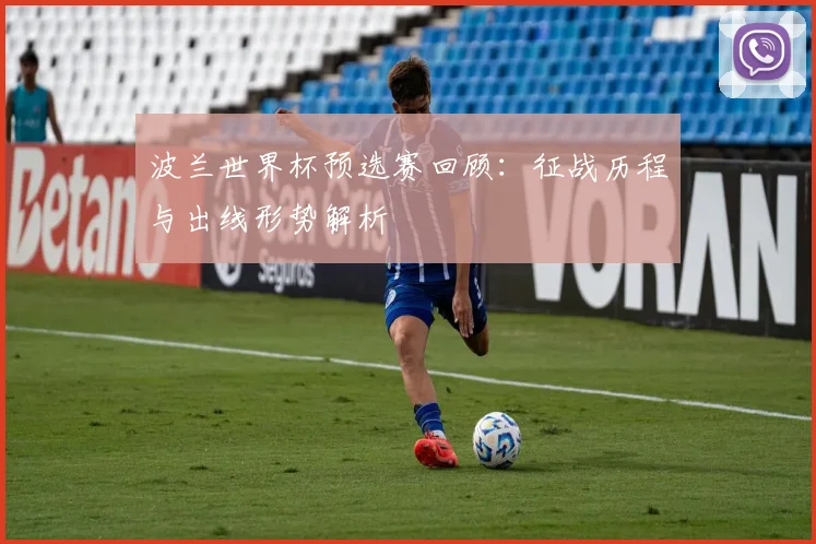 波兰世界杯预选赛回顾:征战历程与出线形势解析