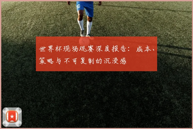 世界杯现场观赛深度报告：成本、策略与不可复制的沉浸感