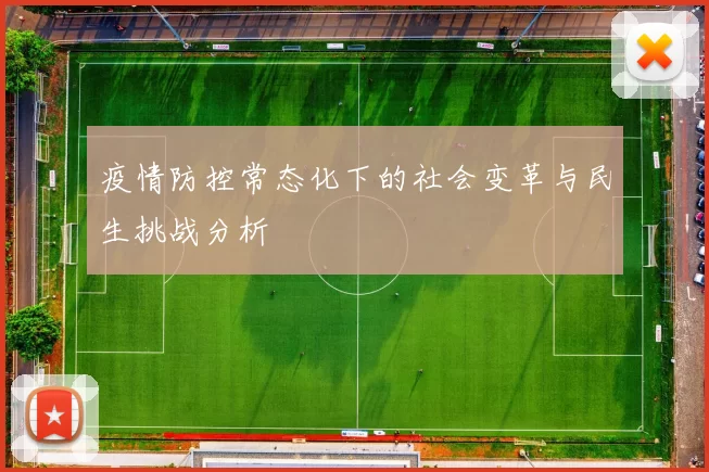 疫情防控常态化下的社会变革与民生挑战分析
