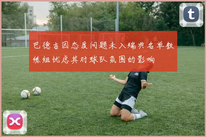 巴德吉因态度问题未入瑞典名单教练组忧虑其对球队氛围的影响