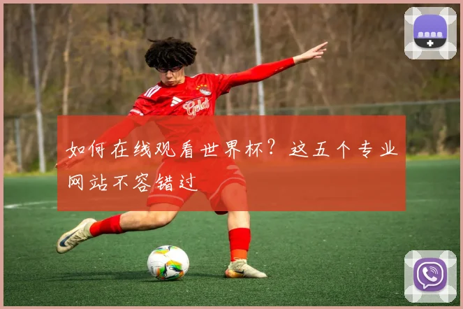 如何在线观看世界杯？这五个专业网站不容错过