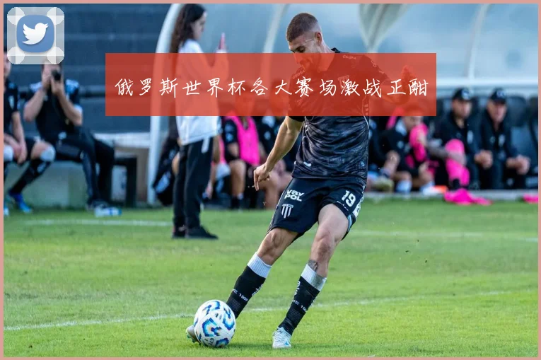 俄罗斯世界杯各大赛场激战正酣