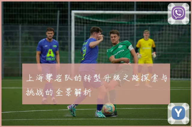 上海攀岩队的转型升级之路探索与挑战的全景解析