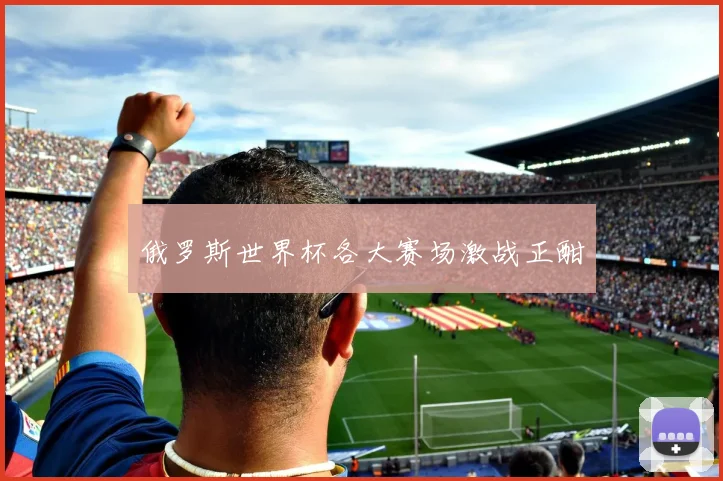 俄罗斯世界杯各大赛场激战正酣