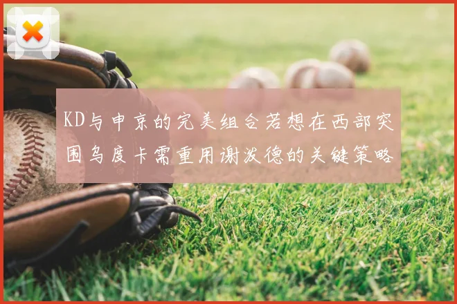 KD与申京的完美组合若想在西部突围乌度卡需重用谢泼德的关键策略