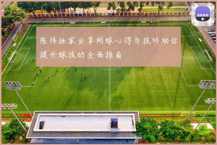 陈伟独家分享网球心得与技巧助你提升球技的全面指南