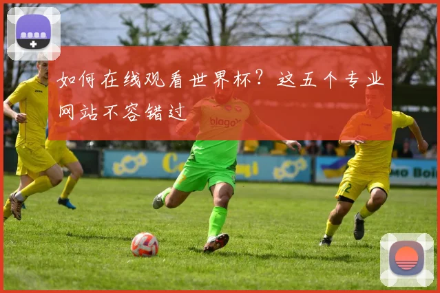 如何在线观看世界杯？这五个专业网站不容错过