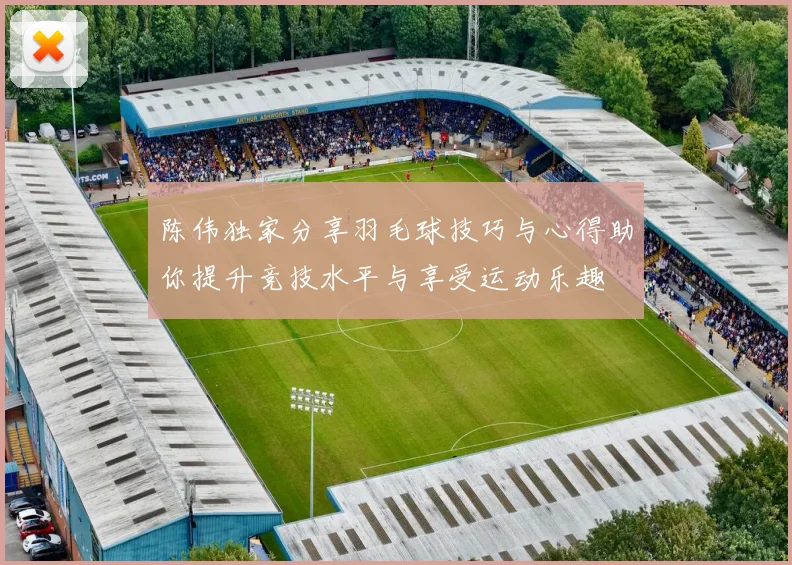 陈伟独家分享羽毛球技巧与心得助你提升竞技水平与享受运动乐趣