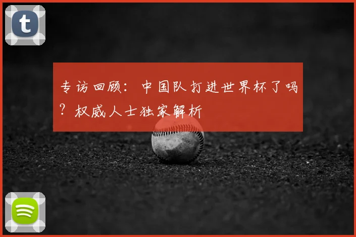 专访回顾：中国队打进世界杯了吗？权威人士独家解析