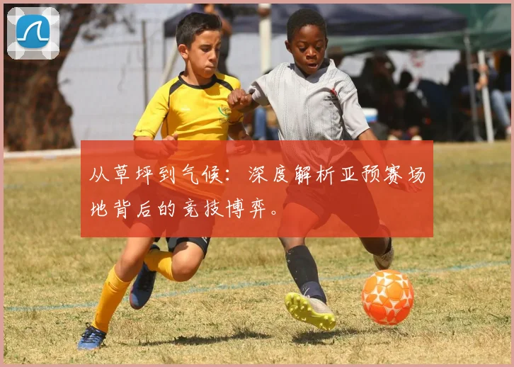 从草坪到气候：深度解析亚预赛场地背后的竞技博弈。