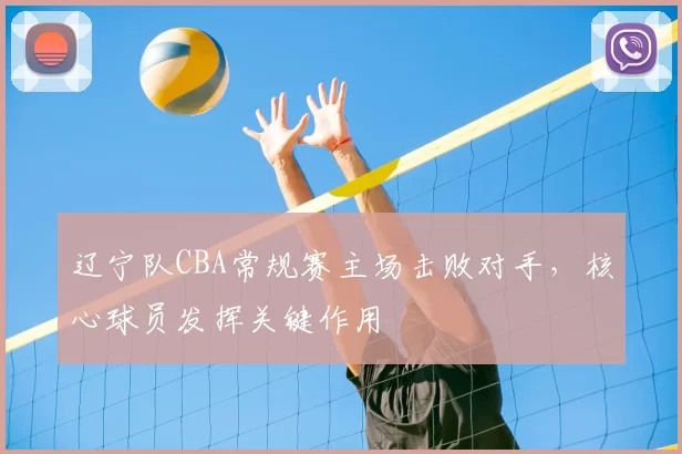 辽宁队CBA常规赛主场击败对手，核心球员发挥关键作用