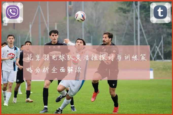 北京羽毛球队灵活性探讨与训练策略分析全面解读