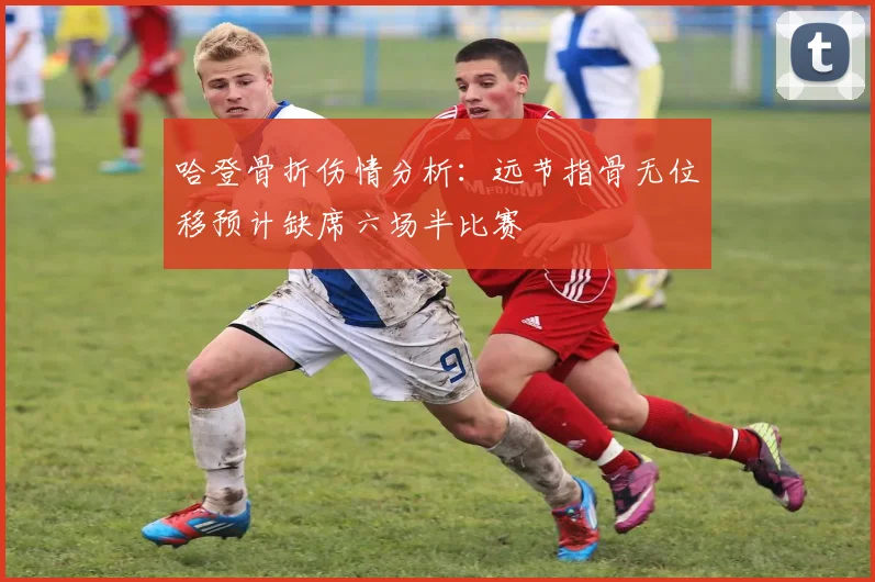哈登骨折伤情分析：远节指骨无位移预计缺席六场半比赛