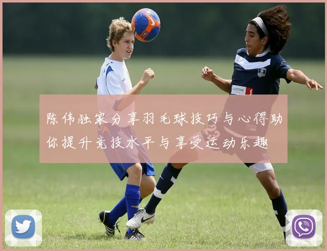陈伟独家分享羽毛球技巧与心得助你提升竞技水平与享受运动乐趣