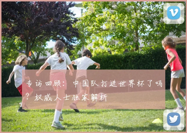 专访回顾:中国队打进世界杯了吗?权威人士独家解析