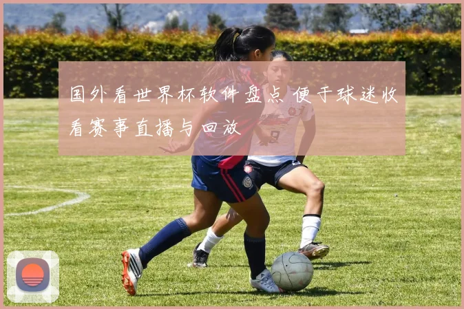 国外看世界杯软件盘点 便于球迷收看赛事直播与回放