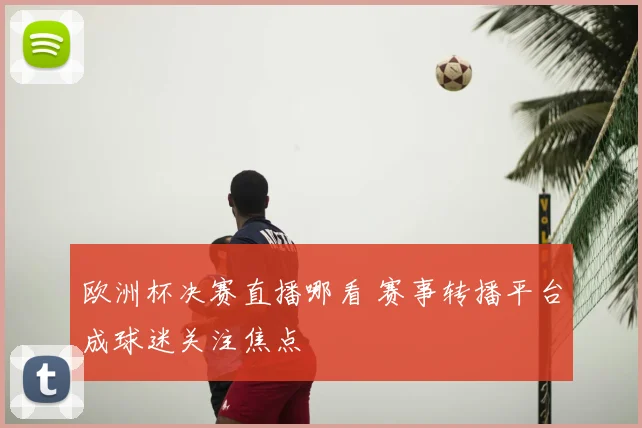 欧洲杯决赛直播哪看 赛事转播平台成球迷关注焦点