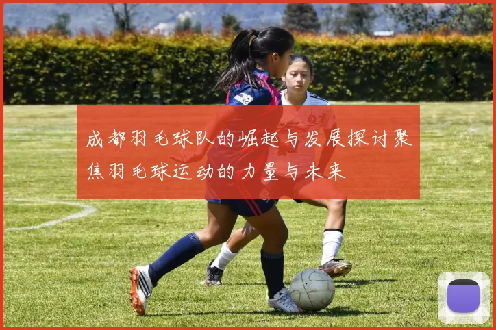 成都羽毛球队的崛起与发展探讨聚焦羽毛球运动的力量与未来