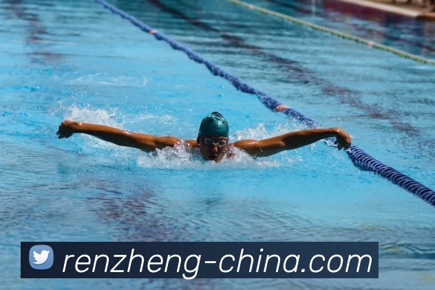 App Interface Preview