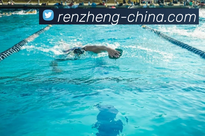 奖项证书